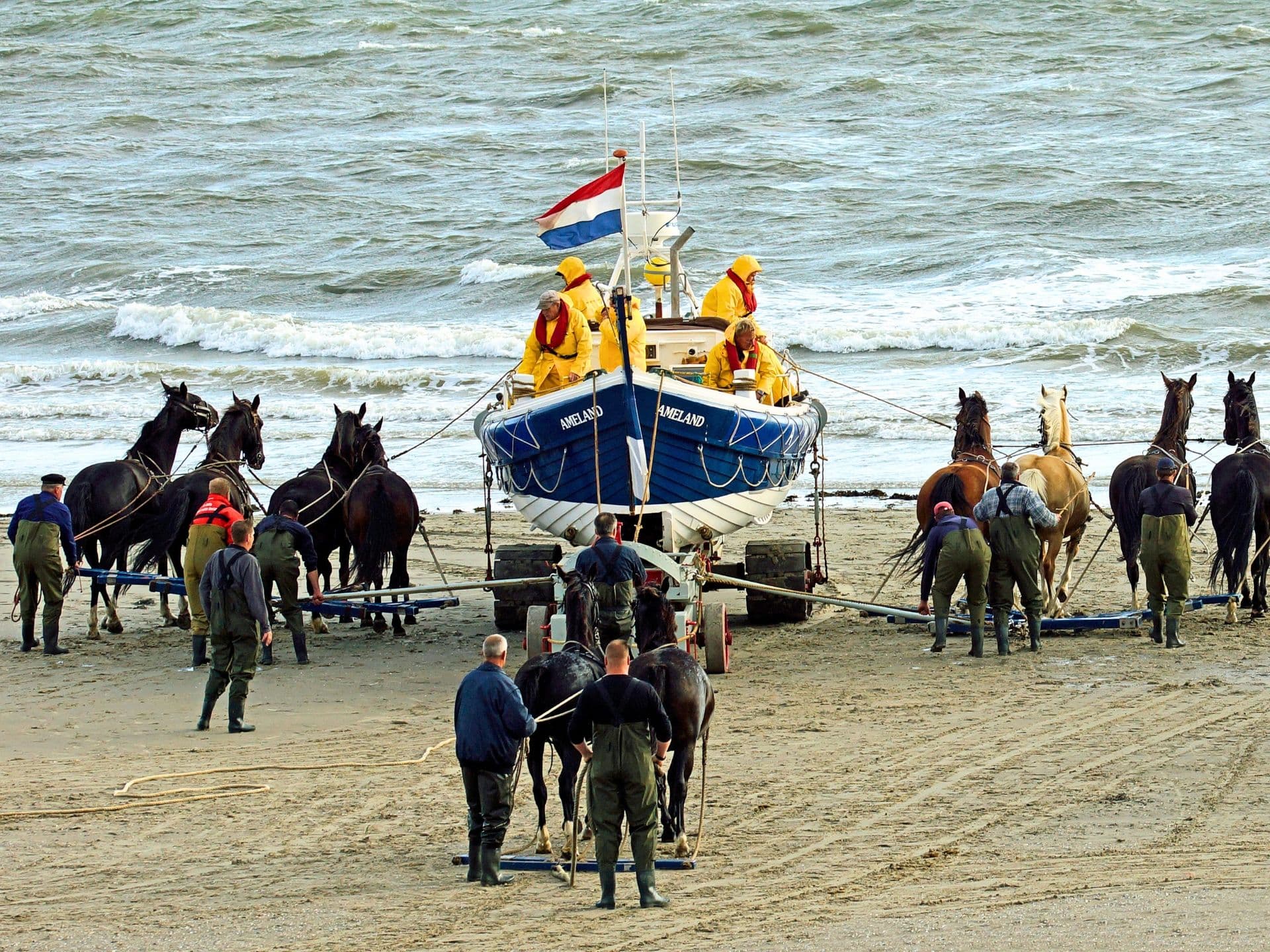 Demonstration Ruder-Rettungsboot und Pferde
