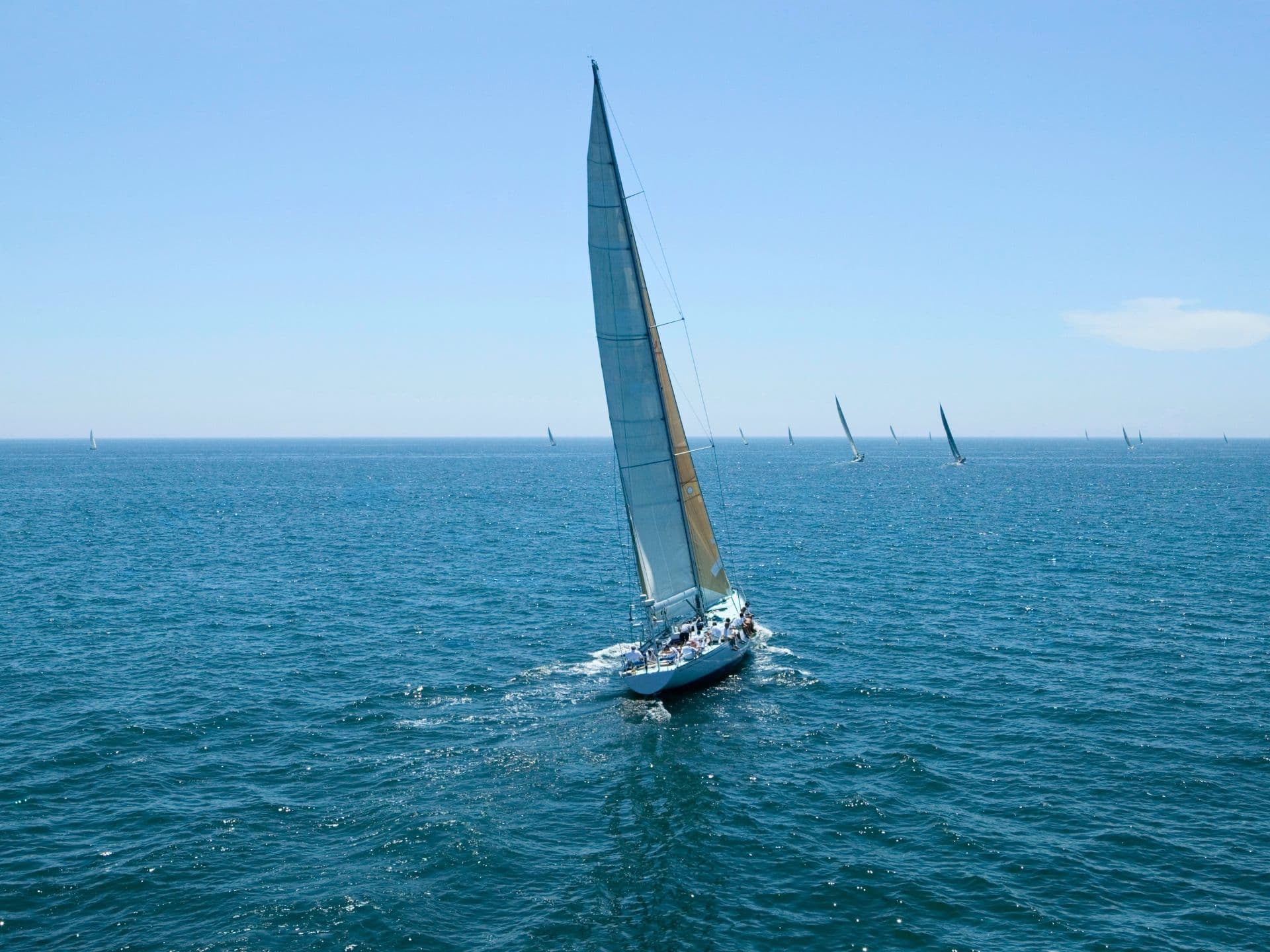 Ruder- und Segelregatta Harlingen-Terschelling